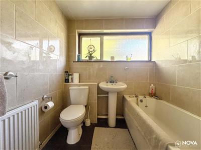 Picture 15
